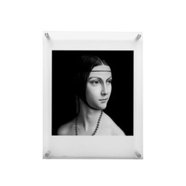 RY DISPLAY 8.5x11 Floating Acrylic Picture Frame with Chrome Standoff Double Panel Wall Mount Photo Frame for Picture Up to inches (8.5x11)