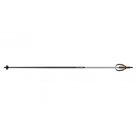 Fischer OneWay Diamond 3 Cross-Country Ski Poles 160 cm Flame/Vapor White