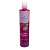 Shampoo Cebolla Linaza Sheló Nabel 530ml Pack 2 Limpieza Profunda