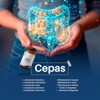 Probióticos y Prebióticos Citrato y Glicinato de Magnesio BIOFLORA Mood