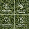 NATURE'S SUNSHINE Magnesium Complex Supplement, 100 Count