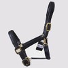 Gallop Economy Leather Padded Headcollar, Cob Size, Black