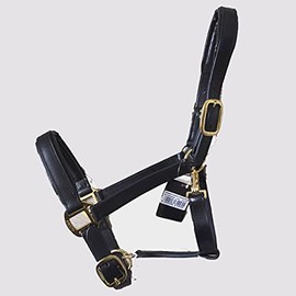 Gallop Economy Leather Padded Headcollar, Cob Size, Black