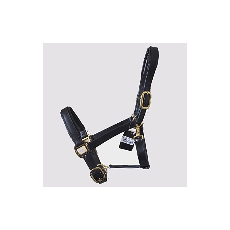Gallop Economy Leather Padded Headcollar, Cob Size, Black