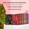 Paquete 10 Piezas Shampoo Tinte Instantaneo 15min Cubre Cana