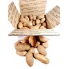 Idaho Genuine Idaho RUSSET Potatoes 18 lbs. #1 Size, Direct