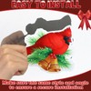 Photect 8 Pcs Cardinal Bird Screen Door Magnets Flexible Decorative