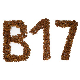 Arashan Apricots Seeds - Dried Sweet Raw Apricot Seeds, Natural| BEST Raw & Sweet Apricot Kernels, Directly From The Fertile Ferghana Valley In Kyrgyzstan | Sundried Apricot Kernel 60% Oil (2 LB)