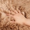 LLB Genuine Sheepskin Area Rug Wool Rug Fur Carpet Fluffy
