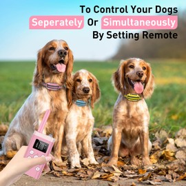 PetJoy Dog Bark Collar with Remote, Shock Collar for Large Dogs 3 Pack, Bark & Shock Collar Combo, Automatic Bark Collar - 5 Sensitivity Levels (Auto Mode)