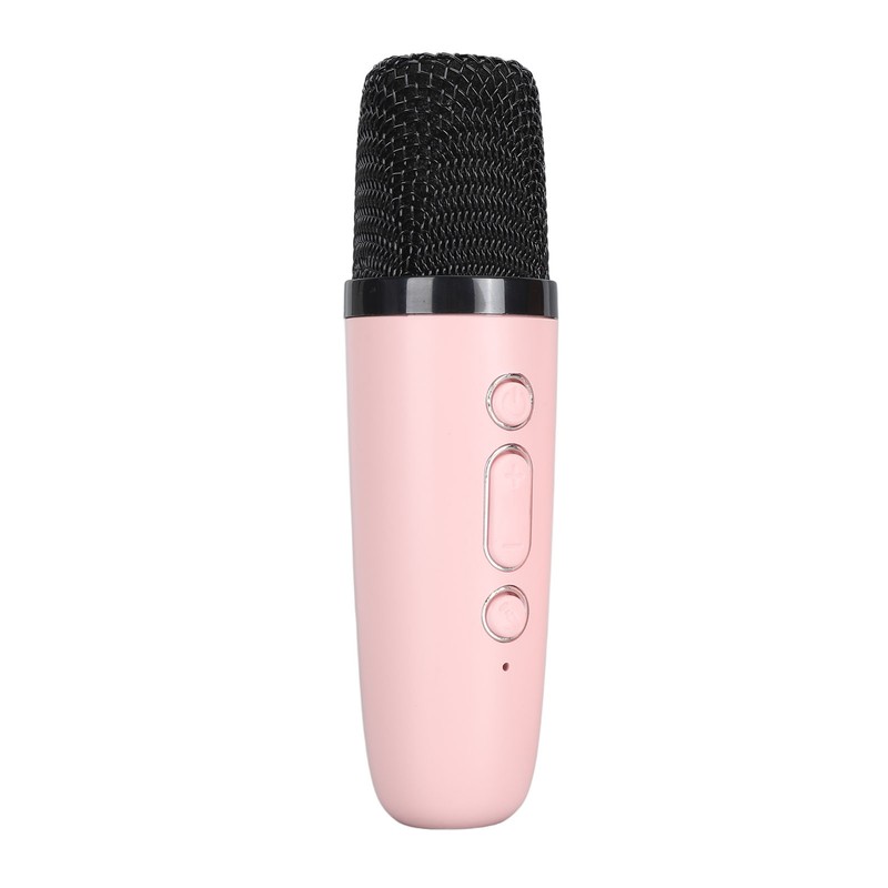 Portable Karaoke Machine LED Dynamic Light Small Bluetooth Speaker with