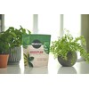 Miracle-Gro Houseplant Potting Mix - Fertilized Soil, Designed to be