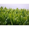 [2024 New Tea] Ureshino Tea Special Selection Set of 2