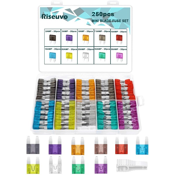 Riseuvo 250 Pcs Mini Fuse Kit - Automotive ATM Blade