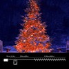 LAMPHOME 1000 LED Christmas Lights Plug in, 81FT Firecracker String
