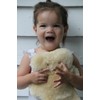 FLATOUTbear Honey 100% Australian Sheepskin Teddy Bear