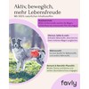 FAVLY Gastro Powder Gastro Gastro Intestinal Flora for Dogs 250