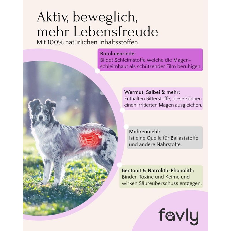 FAVLY Gastro Powder Gastro Gastro Intestinal Flora for Dogs 250