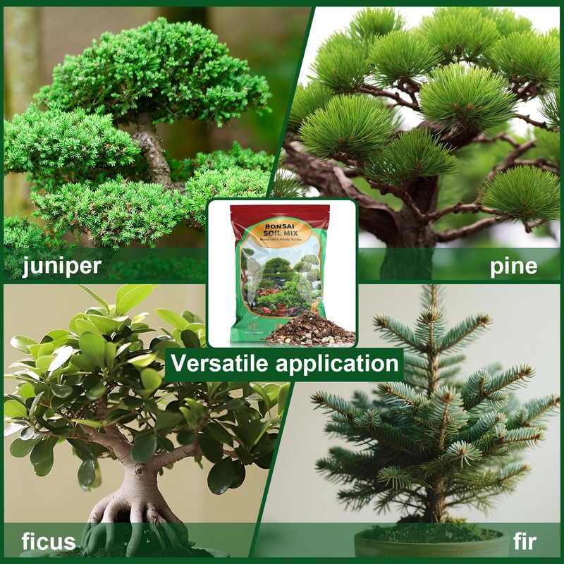 Doter Premium Bonsai Soil Mix with Enhanced Aeration & Drainage