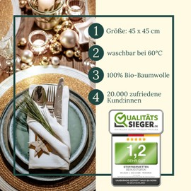 BewusstGrün 12 Fair & Sustainable Fabric Napkins + Folding Instructions, 100% Organic Cotton, 45 x 45 cm, Grey