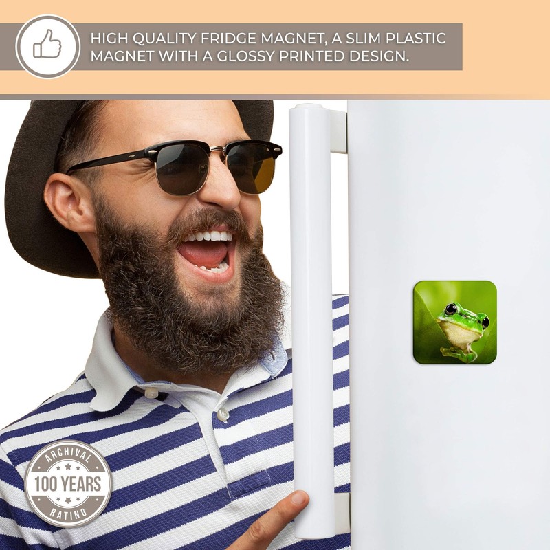 Destination Vinyl ltd Fridge Magnet - Green Tree Frog Jungle