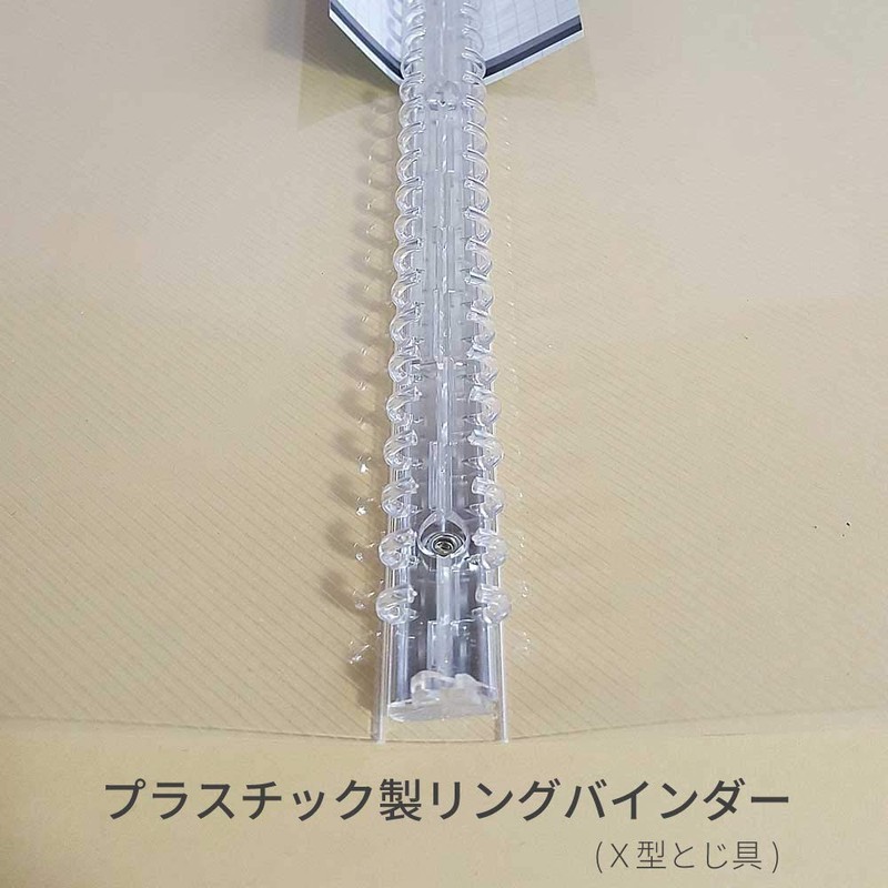 F-1040-CL Collectible Binder for Pocket Leaf A4 Thin Clear