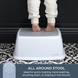 Dreambaby Toddler & Me Step Stool Potty Seat Training Aid with Anti-Slip Sure-Grip Steps, Holds up to 320 lbs for Kids & Adults, Grey