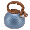 3 Liter Whistling Tea Kettle Stainless Steel Teapot with Handle