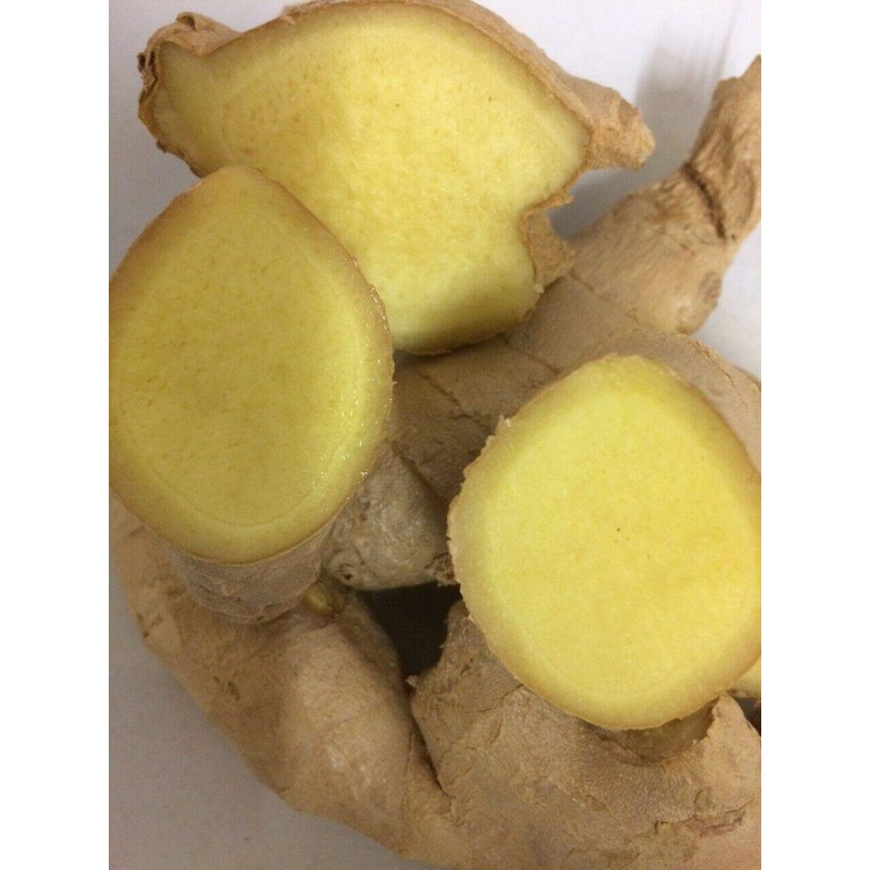 EliteKoopers 100g Organic Fresh Natural Ginger Roots For Whole Spices
