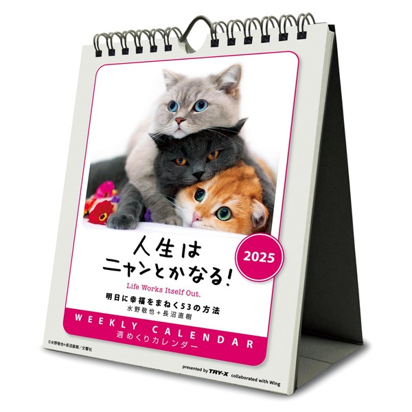 Tri-X CL-384 2025 Calendar, 7.1 x 5.5 inches (18 x
