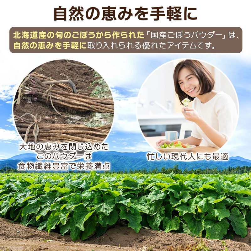 NICHIGA(ニチガ) 国産ごぼうパウダー 150ｇ×3袋 食物繊維豊富 北海道産 ごぼう100％使用 保存料着色料不使用 [06]