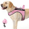 FAYOGOO Service Dog Vest for Large Dogs - Air Mesh