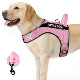 FAYOGOO Service Dog Vest for Large Dogs - Air Mesh Breathble Emotional Support Animal Vest with DIY Removable Patches - Dog Harness and Leash Set Adjustable Neck and Chest(Pink,XXL)