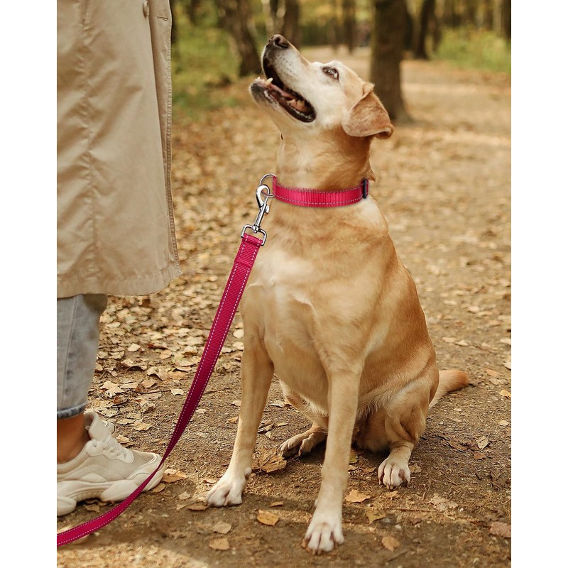 TagME Dog Collar, Adjustable Reflective Nylon Dog Collar with Quick