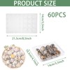 APACALI Pack of 60 Quail Egg Boxes, Quail Egg Boxes,