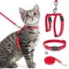 PAWCHIE Cat Harness with Leash and Collar Set - Escape
