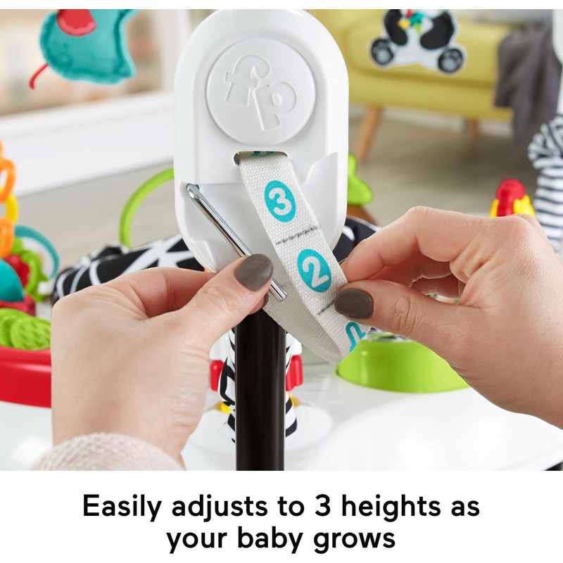 Fisher-Price Baby Bouncer Pink Petals Jumperoo Musical Activity Center with