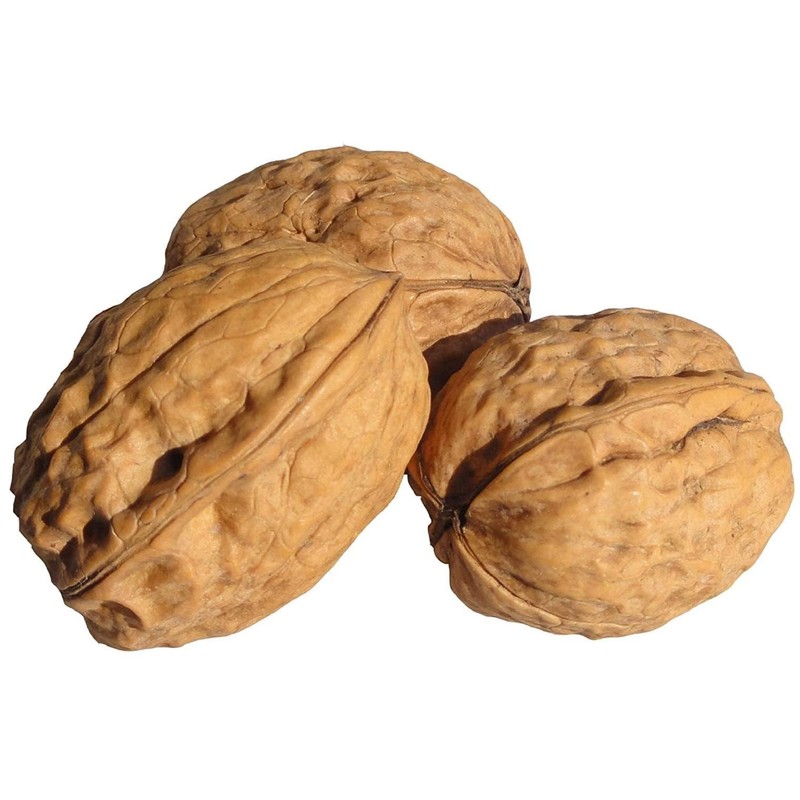 In Shell Walnuts (2.5 Lbs.) - Large Natural California Walnuts