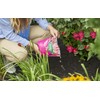 Scotts Rose & Bloom Continuous Release Plant Food, 3 lb