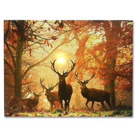 BANBERRY DESIGNS LED Wall Art - Big Buck Lighted Canvas Print - White Tail Bucks in Forest - Wildlife Wall Art - LED Light Up Deer Picture - Measures 15.75" W X 11.75" H