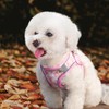 PawSailor Step-in Dog Harness Small Dogs, No Pull Adjustable Soft