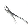 Premium German Gold Dental Extracting Extraction Forceps #151-Lower Bicuspid, Lower