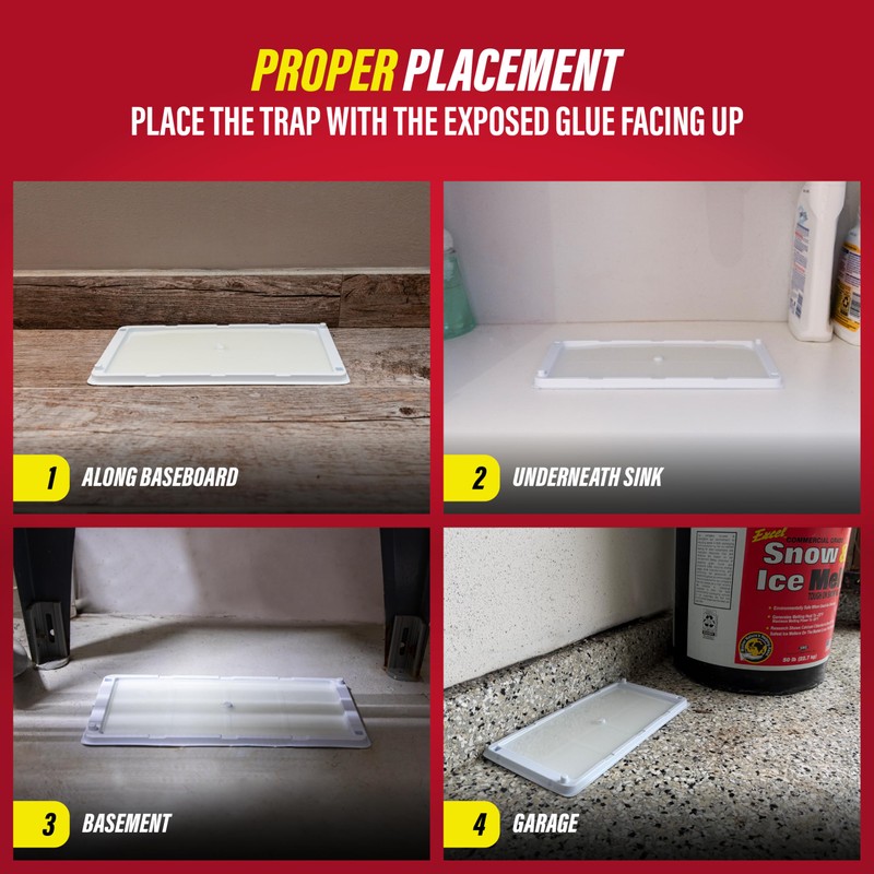 Catchmaster Freeze Resistant Glue Traps 6PK Mouse Traps Indoor for