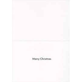 NobleWorks Terrier Looking at Santa from Car Window Cute Dog Christmas Card