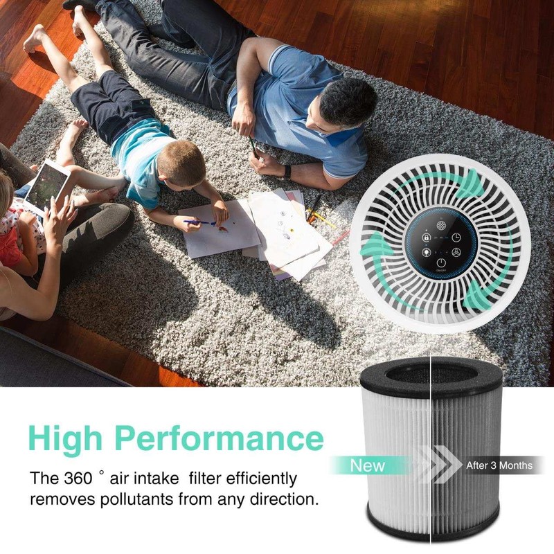 Tailulu Air Purifier Replacement Filter for D09 Air Cleaner, 3-in-1