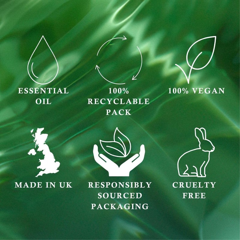 WIBERGS Pine Hand Wash 300ml | Refreshing Eucalyptus & Pine