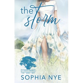 The Storm: A Cedar Springs Romance: 2