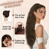 BARSDAR Dark Brown with Highlight Long Curly Wavy Drawstring Ponytail
