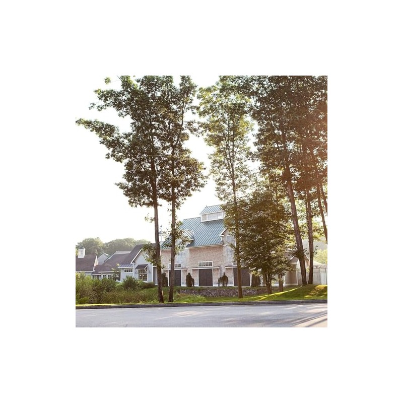 Village Candle Tropical Getaway, 3-Wick Silver Lid Luminary Bowl, Scented