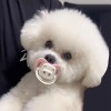 Chupn Mordedera Para Perro Y Mascota Pequea